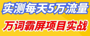 百度万词霸屏实操项目引流课,30天霸屏10万关键词网赚项目-副业赚钱-互联网创业-资源整合老吴网赚