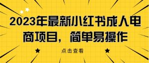 2023年最新小红书成人电商项目，简单易操作【详细教程】网赚项目-副业赚钱-互联网创业-资源整合歪妹网赚